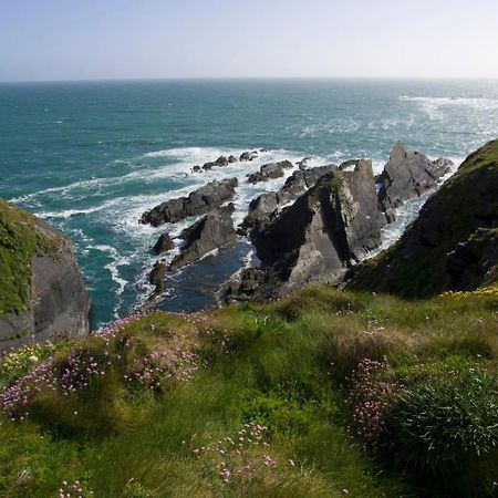 Donoure Galley Head Lightkeeper'S Houses מראה חיצוני תמונה