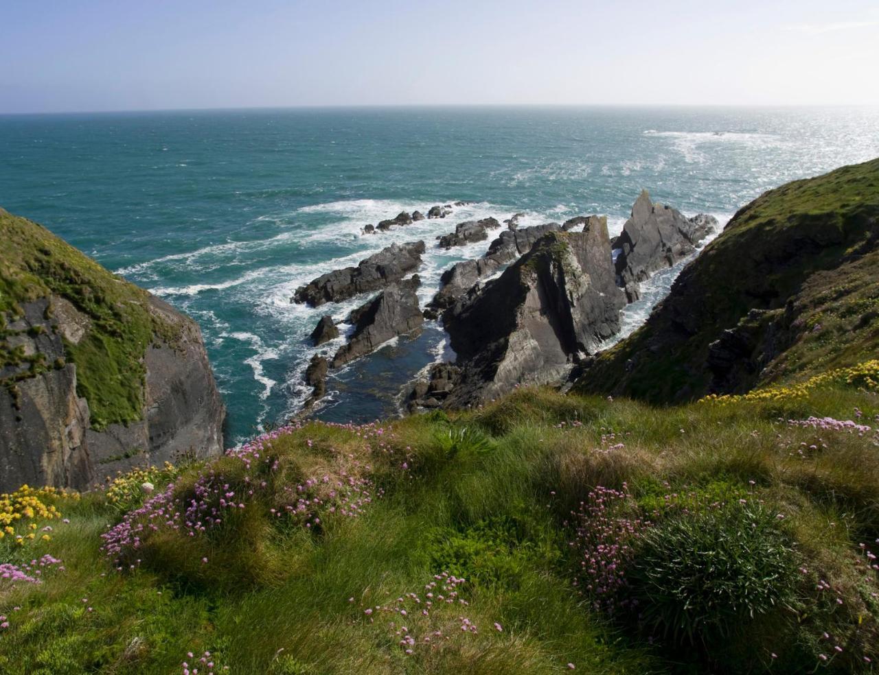 Donoure Galley Head Lightkeeper'S Houses מראה חיצוני תמונה